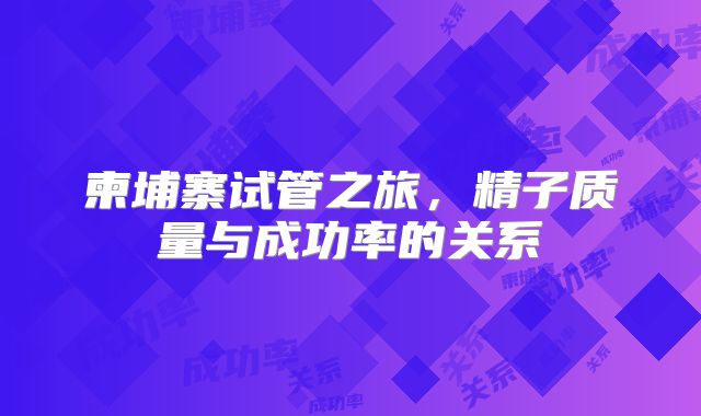 柬埔寨试管之旅，精子质量与成功率的关系