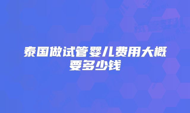 泰国做试管婴儿费用大概要多少钱