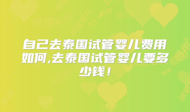 自己去泰国试管婴儿费用如何,去泰国试管婴儿要多少钱！