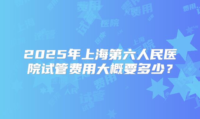 2025年上海第六人民医院试管费用大概要多少?