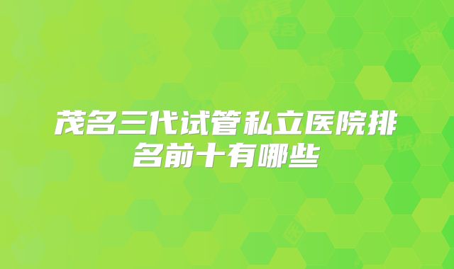 茂名三代试管私立医院排名前十有哪些