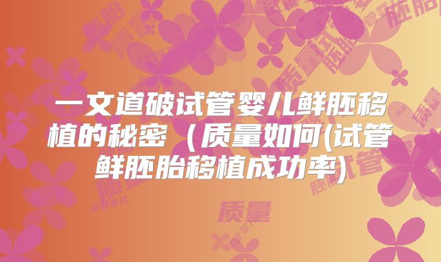 一文道破试管婴儿鲜胚移植的秘密（质量如何(试管鲜胚胎移植成功率)