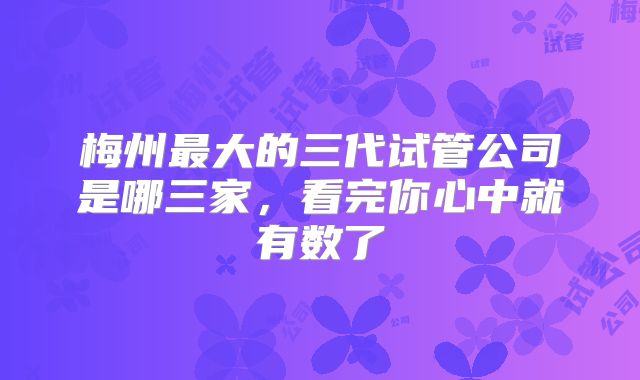 梅州最大的三代试管公司是哪三家，看完你心中就有数了