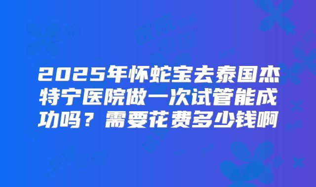 2025年怀蛇宝去泰国杰特宁医院做一次试管能成功吗？需要花费多少钱啊