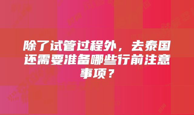 除了试管过程外，去泰国还需要准备哪些行前注意事项？