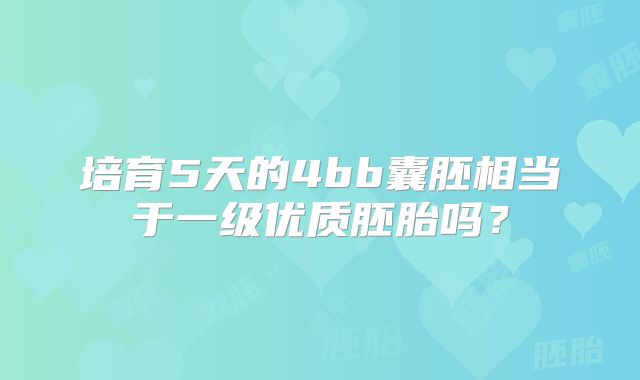 培育5天的4bb囊胚相当于一级优质胚胎吗?