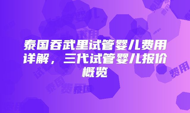 泰国吞武里试管婴儿费用详解，三代试管婴儿报价概览