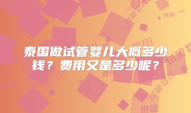 泰国做试管婴儿大概多少钱?费用又是多少呢?