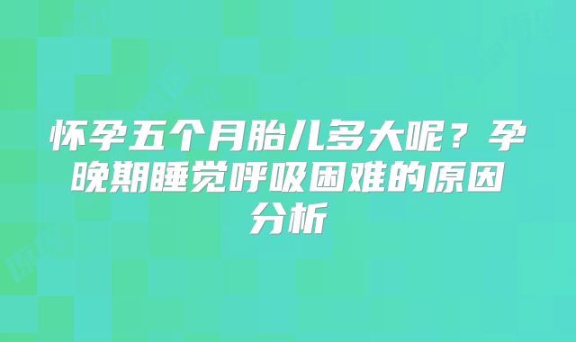 怀孕五个月胎儿多大呢？孕晚期睡觉呼吸困难的原因分析