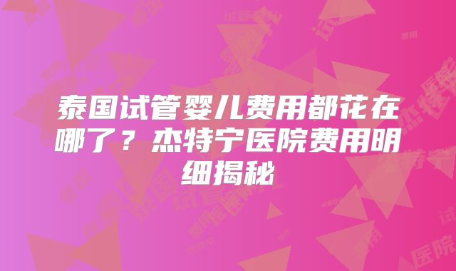 泰国试管婴儿费用都花在哪了？杰特宁医院费用明细揭秘