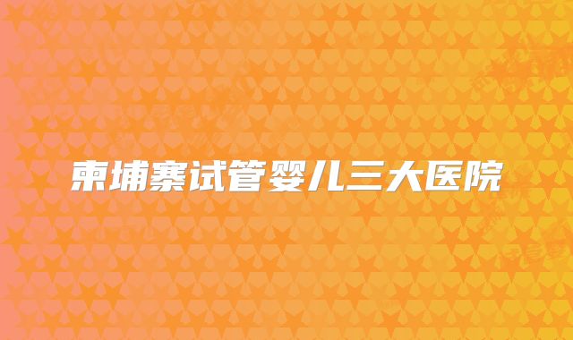 柬埔寨试管婴儿三大医院