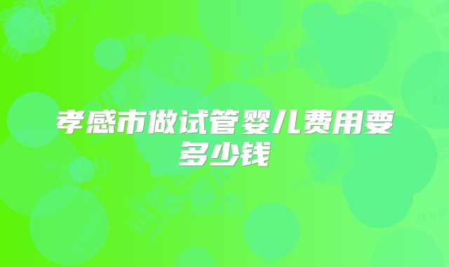 孝感市做试管婴儿费用要多少钱