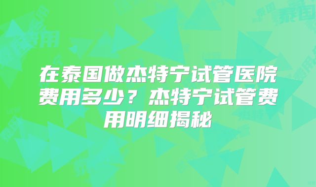 在泰国做杰特宁试管医院费用多少？杰特宁试管费用明细揭秘