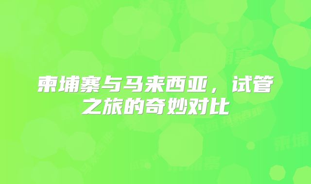 柬埔寨与马来西亚，试管之旅的奇妙对比