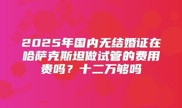 2025年国内无结婚证在哈萨克斯坦做试管的费用贵吗?十二万够吗
