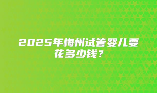 2025年梅州试管婴儿要花多少钱？
