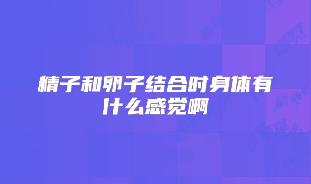 精子和卵子结合时身体有什么感觉啊