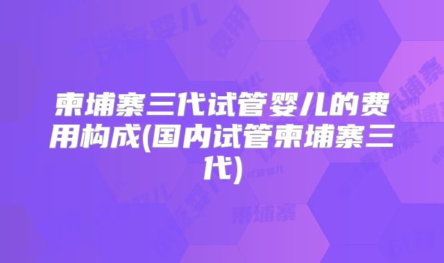 柬埔寨三代试管婴儿的费用构成(国内试管柬埔寨三代)