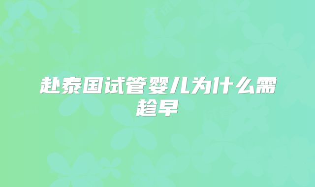 赴泰国试管婴儿为什么需趁早