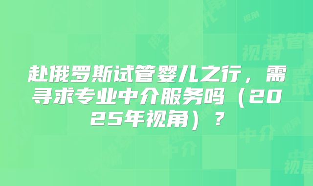 赴俄罗斯试管婴儿之行，需寻求专业中介服务吗（2025年视角）？