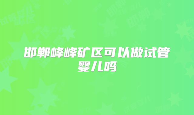 邯郸峰峰矿区可以做试管婴儿吗