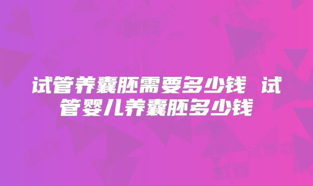 试管养囊胚需要多少钱 试管婴儿养囊胚多少钱