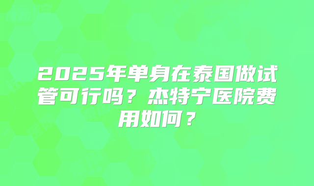 2025年单身在泰国做试管可行吗？杰特宁医院费用如何？
