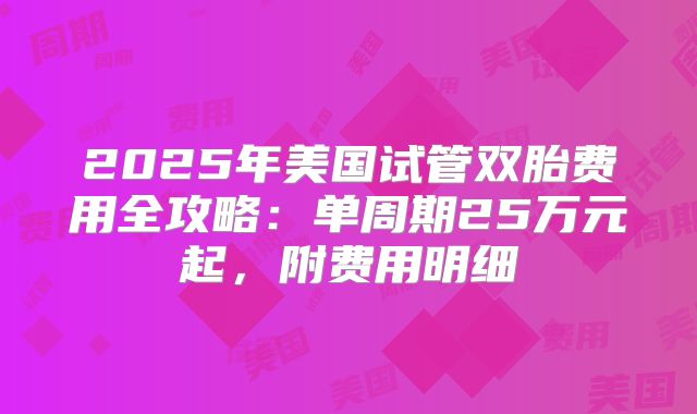 2025年美国试管双胎费用全攻略：单周期25万元起，附费用明细