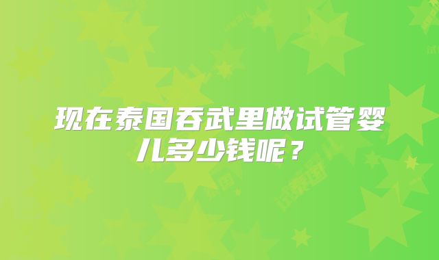 现在泰国吞武里做试管婴儿多少钱呢？