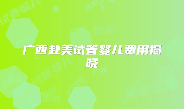 广西赴美试管婴儿费用揭晓