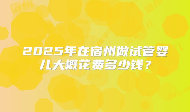 2025年在宿州做试管婴儿大概花费多少钱？