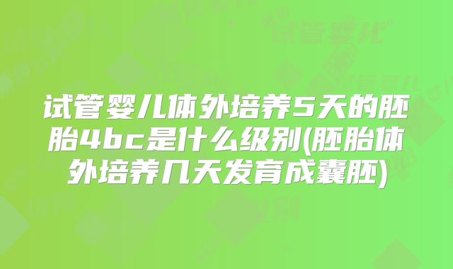 试管婴儿体外培养5天的胚胎4bc是什么级别(胚胎体外培养几天发育成囊胚)