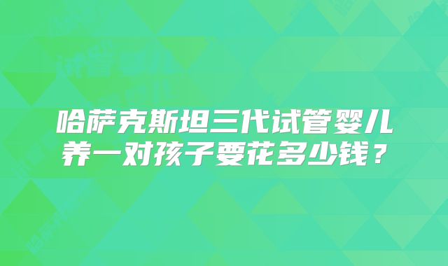 哈萨克斯坦三代试管婴儿养一对孩子要花多少钱？