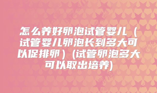 怎么养好卵泡试管婴儿（试管婴儿卵泡长到多大可以促排卵）(试管卵泡多大可以取出培养)