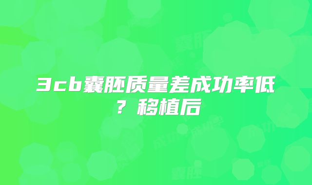 3cb囊胚质量差成功率低?移植后