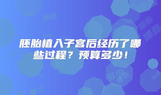 胚胎植入子宫后经历了哪些过程?预算多少!