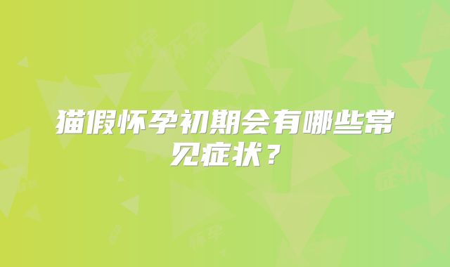 猫假怀孕初期会有哪些常见症状？