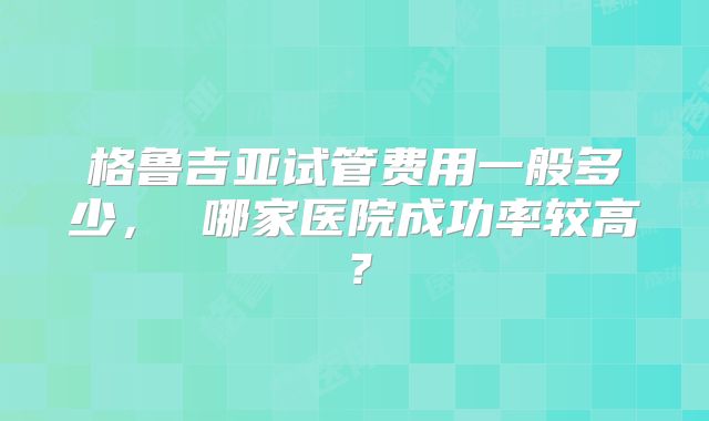 格鲁吉亚试管费用一般多少， 哪家医院成功率较高？