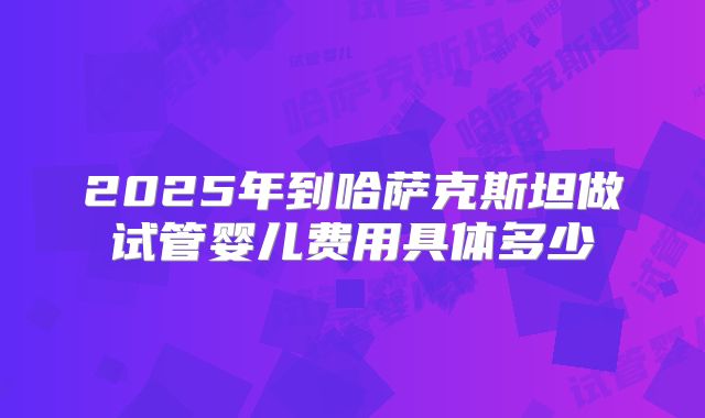 2025年到哈萨克斯坦做试管婴儿费用具体多少