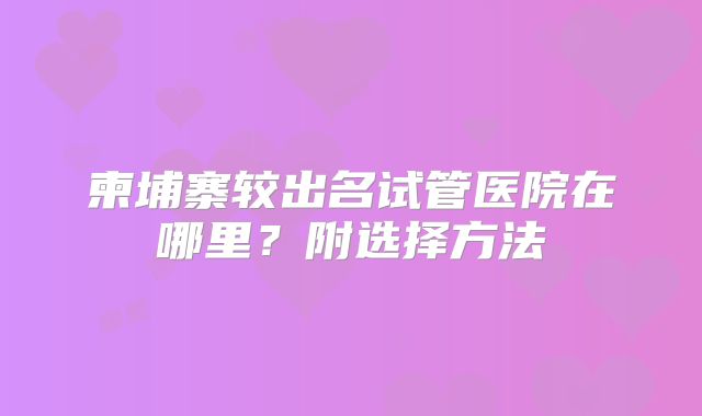 柬埔寨较出名试管医院在哪里？附选择方法