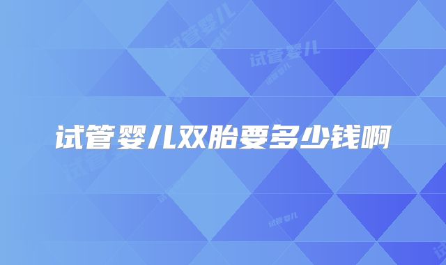 试管婴儿双胎要多少钱啊