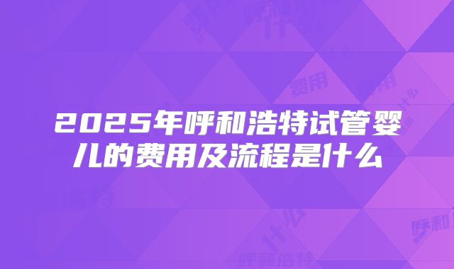 2025年呼和浩特试管婴儿的费用及流程是什么