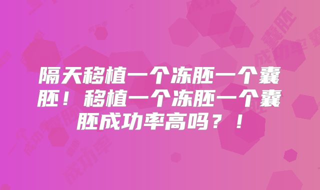 隔天移植一个冻胚一个囊胚！移植一个冻胚一个囊胚成功率高吗？！