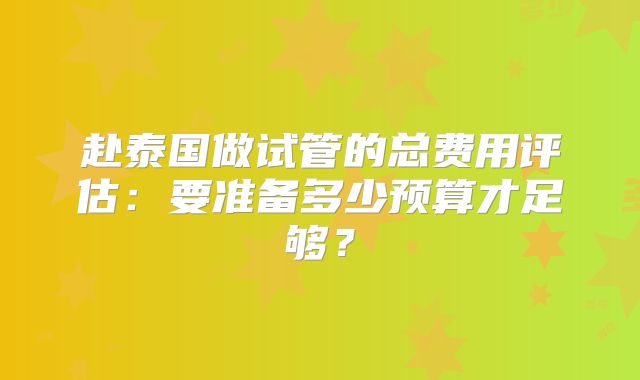 赴泰国做试管的总费用评估:要准备多少预算才足够?