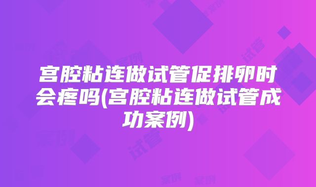 宫腔粘连做试管促排卵时会疼吗(宫腔粘连做试管成功案例)