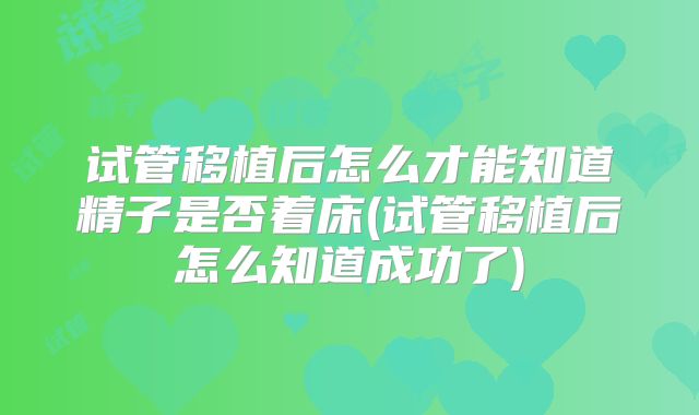 试管移植后怎么才能知道精子是否着床(试管移植后怎么知道成功了)
