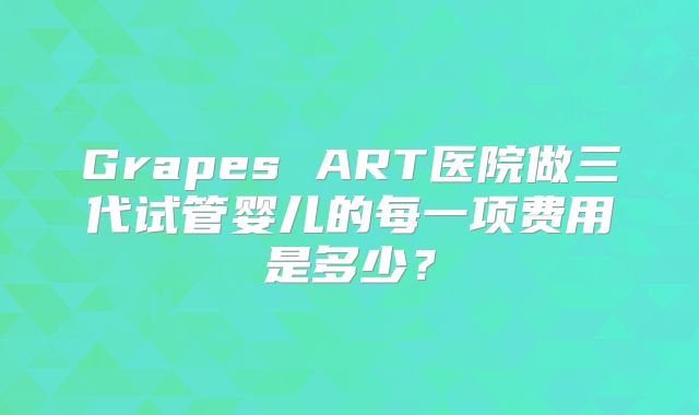 Grapes ART医院做三代试管婴儿的每一项费用是多少？