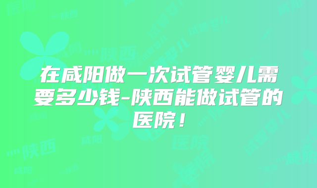 在咸阳做一次试管婴儿需要多少钱-陕西能做试管的医院！