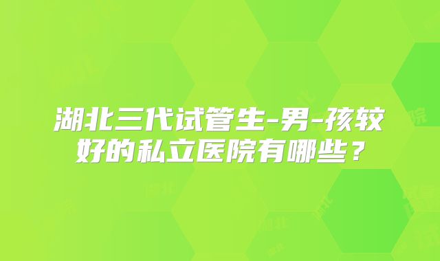 湖北三代试管生-男-孩较好的私立医院有哪些?