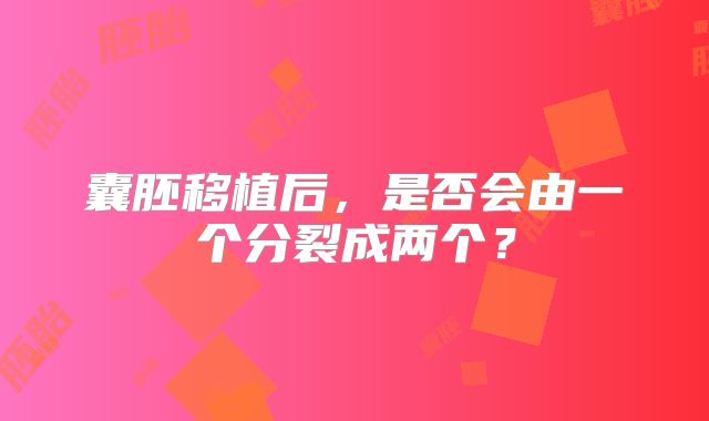 囊胚移植后,是否会由一个分裂成两个?